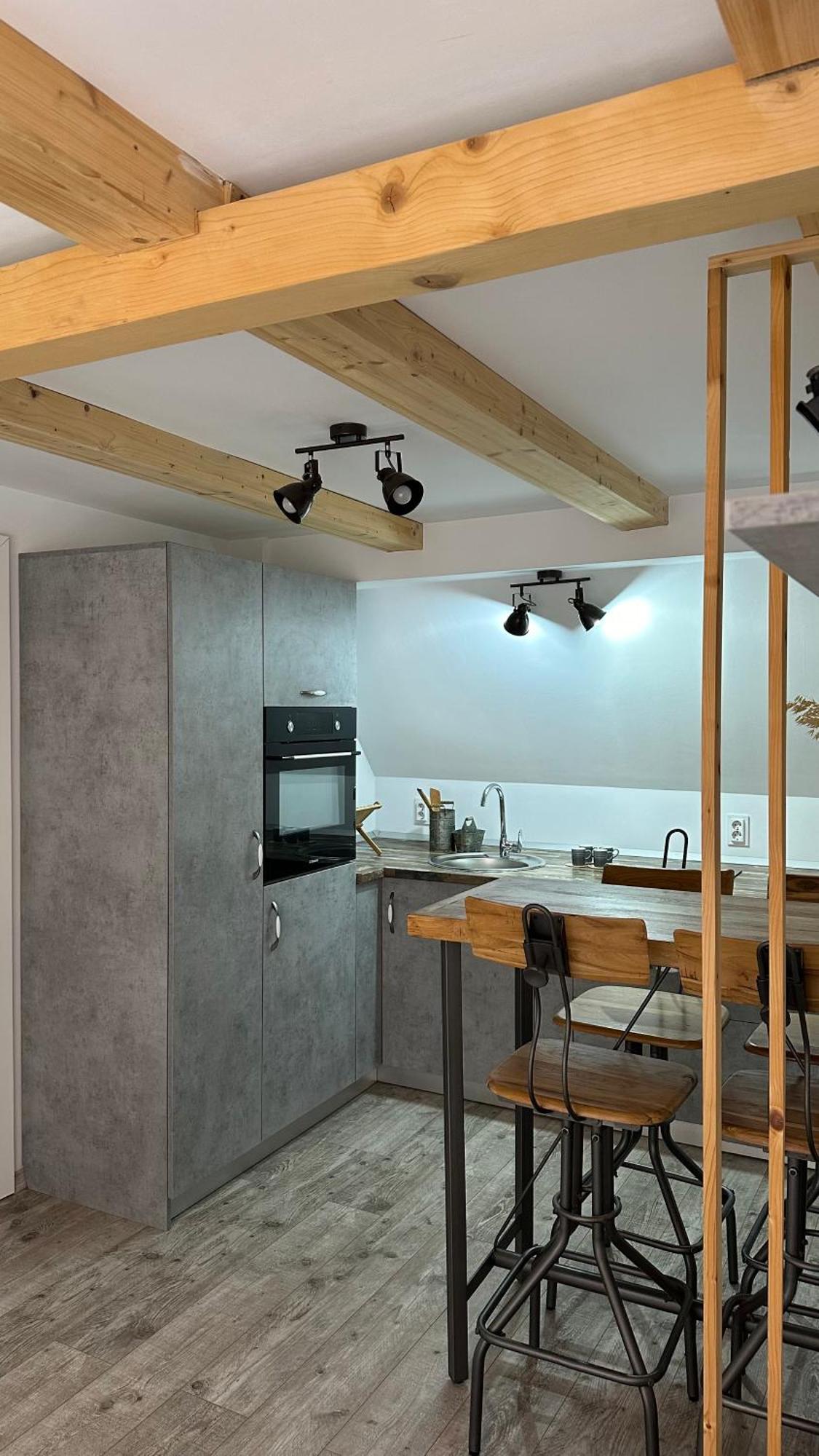 Apartament Transylvanian Lofts *